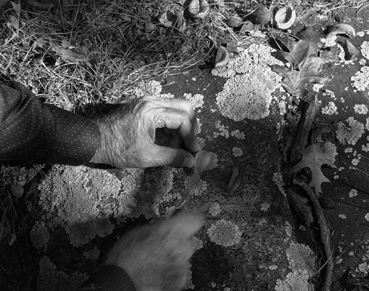 foraging
