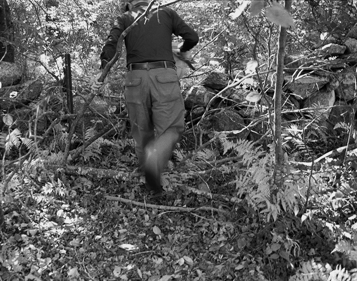 foraging