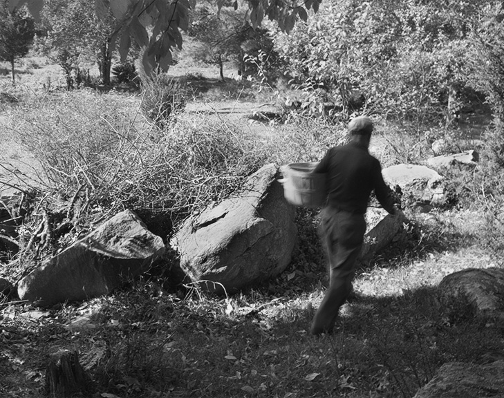 foraging